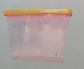ˮ
